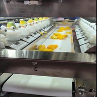 Volledig automatische mangopelmachine, 8-station mangopel-lijn, mangopelmachine