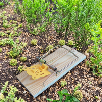Piège à rat en bois durable Puissant tueur de rongeurs à ressort pour la lutte antiparasitaire intérieure et extérieure