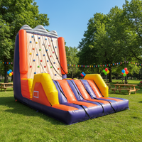 Mur d'escalade gonflable en PVC d'extérieur pour adultes, taille 4*6m, capacité 100-500kg