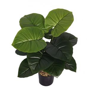 Planta Artificial Decorativa para Interiores y Exteriores, Arreglo <span class=keywords><strong>de</strong></span> Árboles, Planta <span class=keywords><strong>Oreja</strong></span> <span class=keywords><strong>de</strong></span> <span class=keywords><strong>Elefante</strong></span>, Venta Directa <span class=keywords><strong>de</strong></span> Fábrica - Product Image 4