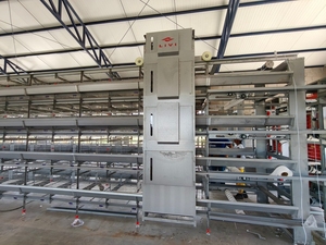 Jaulas para Pollos Tipo H, 50000 Unidades, Sistema Automático <span class=keywords><strong>de</strong></span> Cría <span class=keywords><strong>de</strong></span> Aves <span class=keywords><strong>de</strong></span> Corral y Recolección <span class=keywords><strong>de</strong></span> <span class=keywords><strong>Huevos</strong></span> - Product Image 6