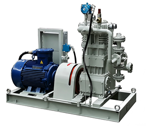 Medical Grade Oil Free Screw Compressor Oxygen Process Compressor Low <b>Vibration</b> Quiet Operation Industrial Oxygen Air Compressor - Product Image 5