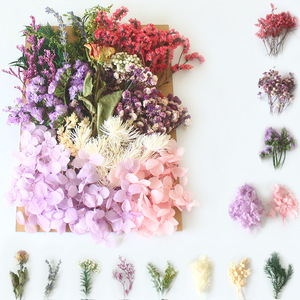 Fleurs et feuillage séchés, hortensias et gypsophile préservés pour la fabrication de bougies, la fabrication de savons et le nail art - Product Image 1