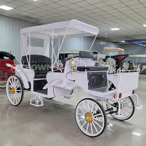 Calèche électrique personnalisée pour événements spéciaux, limousine de tourisme, calèche vintage blanche - Product Image 6