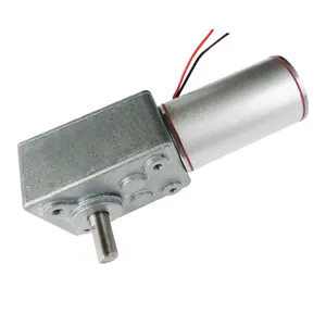 5073-38ZY 100Kg.cm 100Kg High Torque 38ZY Steel Tube 12v 24v Low Rpm Brush DC Electric 5073 Worm DC Gear Motor Self-Locking