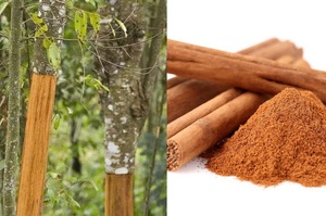 Extracto de Corteza de <span class=keywords><strong>Canela</strong></span> en Polvo 20%-40% Flavonoides y Lactonas Grado Alimenticio Origen Zhejiang - Product Image 3