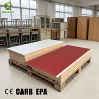 Laminé mélaminé professionnel de marque Qiangyi, norme ENF, noyau en eucalyptus, écologique, pour la décoration intérieure