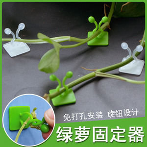 Plant Fixing Device For Pothos Climbing Vines Wall Mounted Self <b>Adhesive</b> Non Marking Indoor Plants Plastic <b>Hooks</b> - Product Image 4