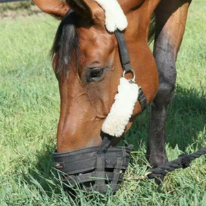 Bozal Seguro para Caballos con Hebilla de Liberación Rápida para un Fácil Manejo y Mayor Seguridad - Product Image 1