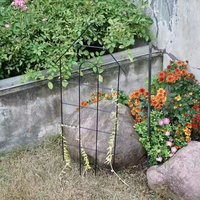 Treillis de jardin en fer en forme de maison, résistant à la rouille, support extérieur pour plantes grimpantes, fleurs, roses, concombres, décoration de jardin
