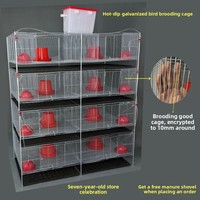 Cage à poulets en treillis d'acier isolé anti-rouille de haute qualité, nouvelle cage d'élevage pour cailles et cochons d'Inde, cages pour animaux galvanisées à chaud