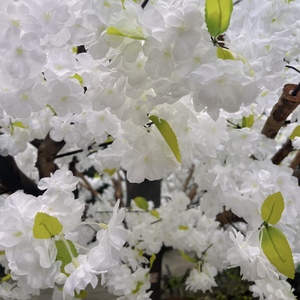 Albero Artificiale Grande Personalizzato, Durevole, Ecologico, Resistente ai Raggi UV e Ignifugo, in PE, con Fiori di <span class=keywords><strong>Ciliegio</strong></span> Dorati, per Interni/Esterni - Product Image 6