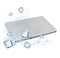 Packs de Glace Réutilisables en Acier Inoxydable à Congélation Rapide et Longue Durée pour Pique-niques et Camping – Boîte à Repas Isotherme Portable