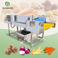 Haarrollerreiniger Maquina Lavadora Kleine Industriële Schaal Fruit- en Groentewasmachine Aardappel