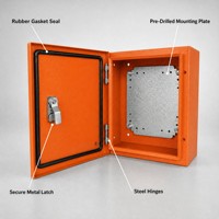 Boîtier électrique mural en acier galvanisé avec revêtement en poudre orange, IP65, porte simple, plaque de montage, couleur personnalisée