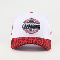 Groothandel ingewikkeld bewerkte unisex gestructureerde baseballpet met gepersonaliseerd patroon overal geborduurd op de klep voor streetwear