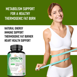 Capsules d'extrait de thé vert OEM/ODM : Soutien à la combustion des graisses, régulation de l'immunité, lipides sanguins et santé cardiovasculaire - Product Image 4