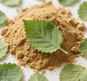 Склад, Оптовая поставка, натуральный белый экстракт листьев тутового дерева, 1%, DNJ, пищевая бутылка, барабанная упаковка, низкая цена, растительный экстракт, порошок - Product Image 4