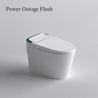 WC intelligent sans réservoir certifié CE avec télécommande, siège chauffant, évacuation en S, double chasse, à poser au sol, en céramique et ABS