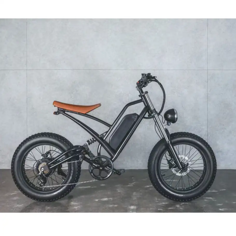 Высокое качество 20 дюймов электрический велосипед с шинами 750w 1000w ретро Электрический велосипед Mtb Байк, способный преодолевать Броды жира шин Электрический горный велосипед/электрический велосипед