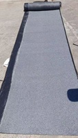Membrane d'étanchéité en rouleaux d'asphalte bitumineux modifié SBS/APP Technonicol 3 4 5mm 10m pour toiture à souder au chalumeau