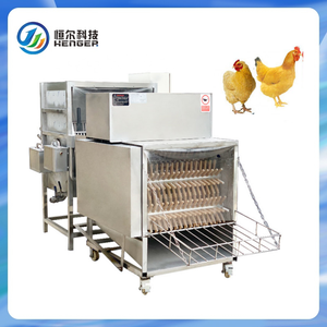 Dây chuyền giết mổ gà tự động - Product Image 6