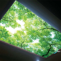 Película de Techo Elástica de PVC Translúcida Blanca Decorativa LeArt, Techo Falso de Plástico Retroiluminado