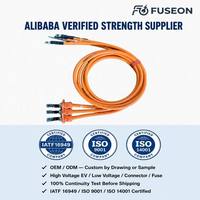 Harness Kabel Bus DC Tegangan Tinggi Khusus EV 600V Konduktor Tembaga Berpenampang Besar untuk Modul Baterai