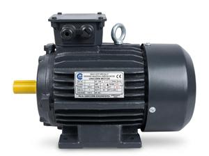 Motor Estándar Compacto de Alta Eficiencia y Ahorro de Energía, de 2 Polos, Trifásico, con Montaje de Brida, 2880 RPM, para - Product Image 4