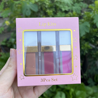 Kit per il trucco natalizio 3 pezzi rossetto lucido logo personalizzato pacchetto rosa lucidalabbra trasparente vegano