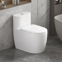 WC monobloc en porcelaine à poser au sol, style européen moderne, avec abattant à fermeture douce, pour lavabo, cuisine extérieure