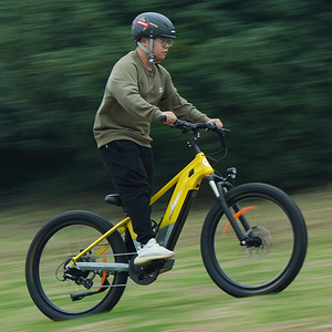 Nouveau modèle Vélo électrique VTT W03 avec capteur de couple 48V et double moteur 1000W - Product Image 3
