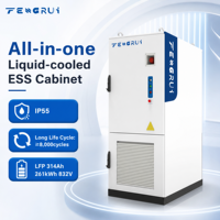 Armoire ESS tout-en-un refroidie par liquide de haute qualité LFP 314Ah 125kW 261kWh 832V IP55 C5 pour projets commerciaux et industriels