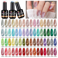 Kit professionnel de vernis gel Globle Glass 288 pièces, vernis gel effet œil de chat, magnétique, style français, longue tenue, vernis à ongles UV LED