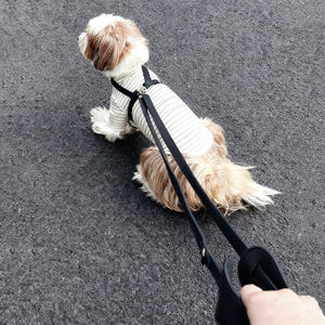 Manos libres 8.2ft Multifuncional Crossbody Dog <span class=keywords><strong>Leash</strong></span> Correa de entrenamiento ajustable con asa para cachorros pequeños - Product Image 3