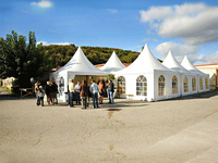 Venta Directa de Fábrica, Carpa Pagoda de 3x3m a 10x10m, Carpa para Eventos al Aire Libre, para Fiestas, Exposiciones, Resistente a la Lluvia y al Viento, para Todas las Estaciones
