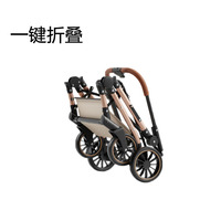 Poussette pour animaux de compagnie en acier carbone Lanka avec grand espace pour chiens et chats de petite/moyenne taille, roues légères pliables, voyage en plein air