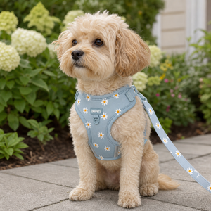 Arnés de Lujo para Perros OKKPETS con Logotipo Personalizado, Arnés de Cuello para Perros, Moderno y Duradero, Ajustable, Personalizado, Juego de Arnés para Perros Sin Tirones - Product Image 2