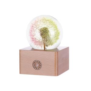 3D ha condotto la luce del dente di leone bianco caldo conservato fiore ricaricabile sfera di cristallo luce notturna su misura regalo di san valentino - Product Image 5