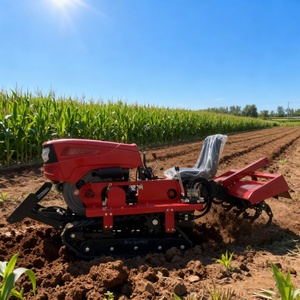 Pequeños tractores de orugas con motor diésel 2WD para invernaderos, campos de arroz de <span class=keywords><strong>tierra</strong></span> seca, microcultivadores de alta productividad de dos ruedas - Product Image 1