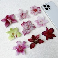 Pegangan Ponsel Fleksibel Akrilik Motif Anggrek, Penyangga Meja untuk Iphone16promax, Pegangan Popping yang Dapat Disesuaikan