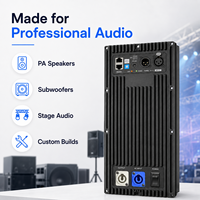 Module d'amplificateur audio bi-amplifié de classe D actif professionnel DSP 800W 15 pouces X2DM800-1
