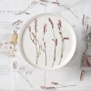 12 cái/gói polygonum lapathifolium cho khung nến và sậy khuếch tán thực sự ép hoa - Product Image 5