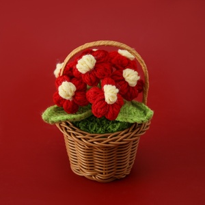 Cesta de Suculentas Tejida a Crochet Hecha a Mano con 7 Cabezas, Vendida en Puestos de Mercado Nocturno, Como Regalo para Compañeros de Clase, Maestros y Colegas - Product Image 3