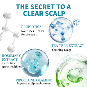 Nhãn Hiệu Riêng Da Đầu Massage Dầu Gội Nhẹ Nhàng Làm Sạch Rrefreshed Tóc Hữu Cơ Muối Biển 2-Trong-1 Chà Và Dầu Gội Đầu - Product Image 5