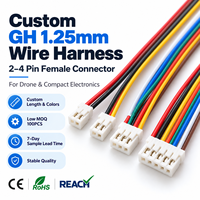 Ensemble de faisceau de câbles personnalisé JST GH 1,25 mm, connecteur femelle 2, 3, 4 broches, câble pour câblage de drone