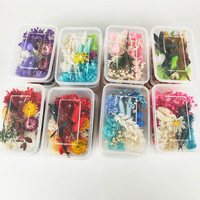 Boîte de matériaux DIY avec fleurs séchées naturelles longue durée pour la création de bijoux en résine et la décoration de coques de téléphone
