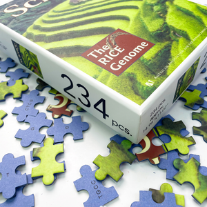 Puzzle 1000 pièces anti-stress, puzzles en papier, jeux <span class=keywords><strong>de</strong></span> <span class=keywords><strong>société</strong></span> pour adultes, puzzle lumineux haute définition - Product Image 2