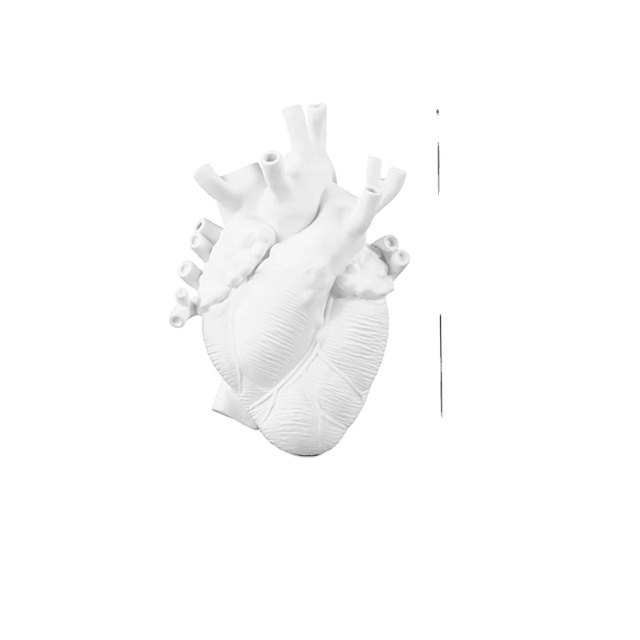 2021 анатомическая ваза для человеческого сердца, каучуковые растения, цветочные горшки, декоративное украшение для дома, ваза для скульптуры в форме сердца, Прямая поставка