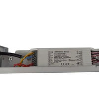 Module d'alimentation de secours rechargeable 6W pour panneau LED d'urgence, sortie unique, pour éclairage intérieur